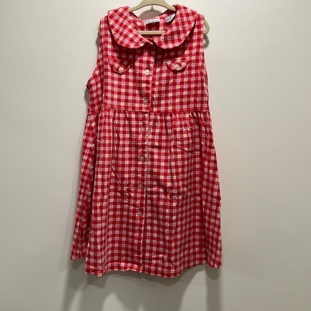 𝅺honors Vintage plaid collar dress swirls and flowers